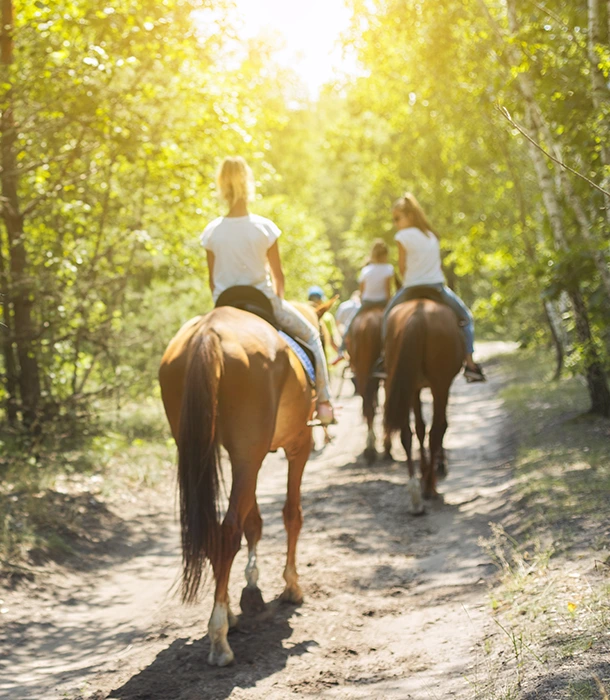 Circuits de randonnée à cheval